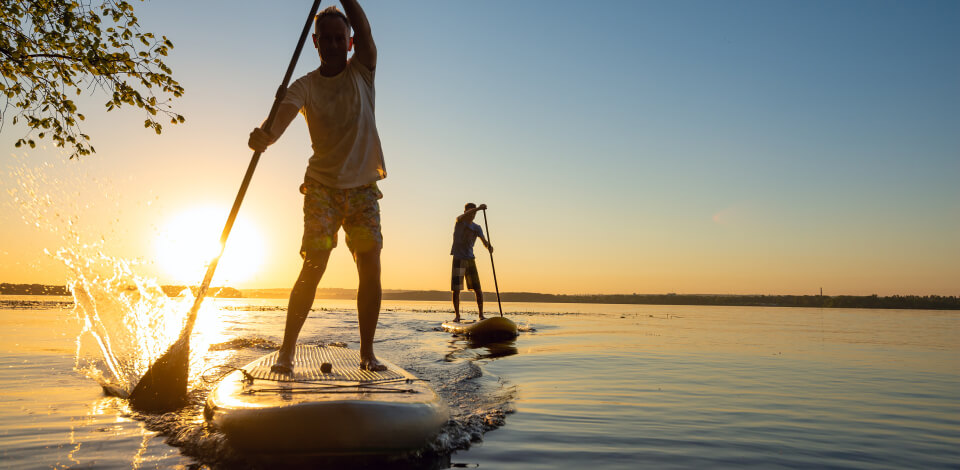 Paddle (Stand-Up): standing tall, heading towards the painted horizon.