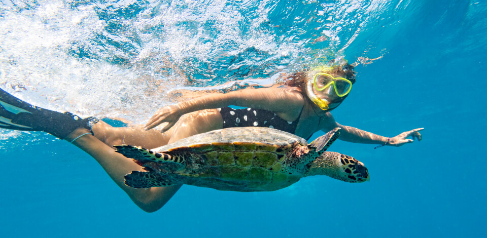 Snorkeling in crystal clear waters.