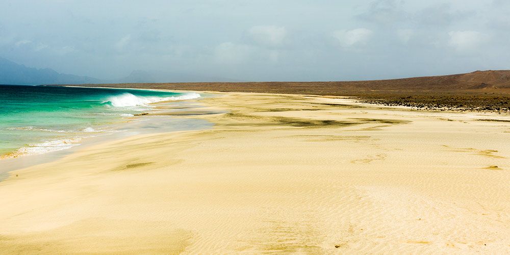 A singularidade da fauna e flora cabo verdiana