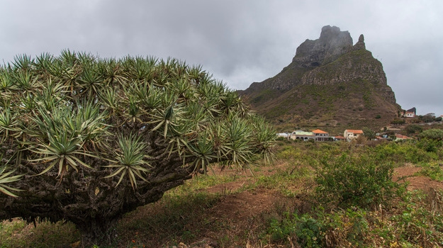Uma caminhada deslumbrante por Monte Gordo 