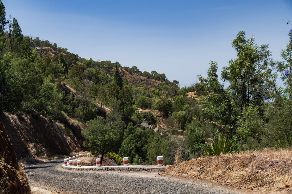 Partida Trilhos Bordeira